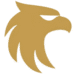 FAVICON de dominus futuris